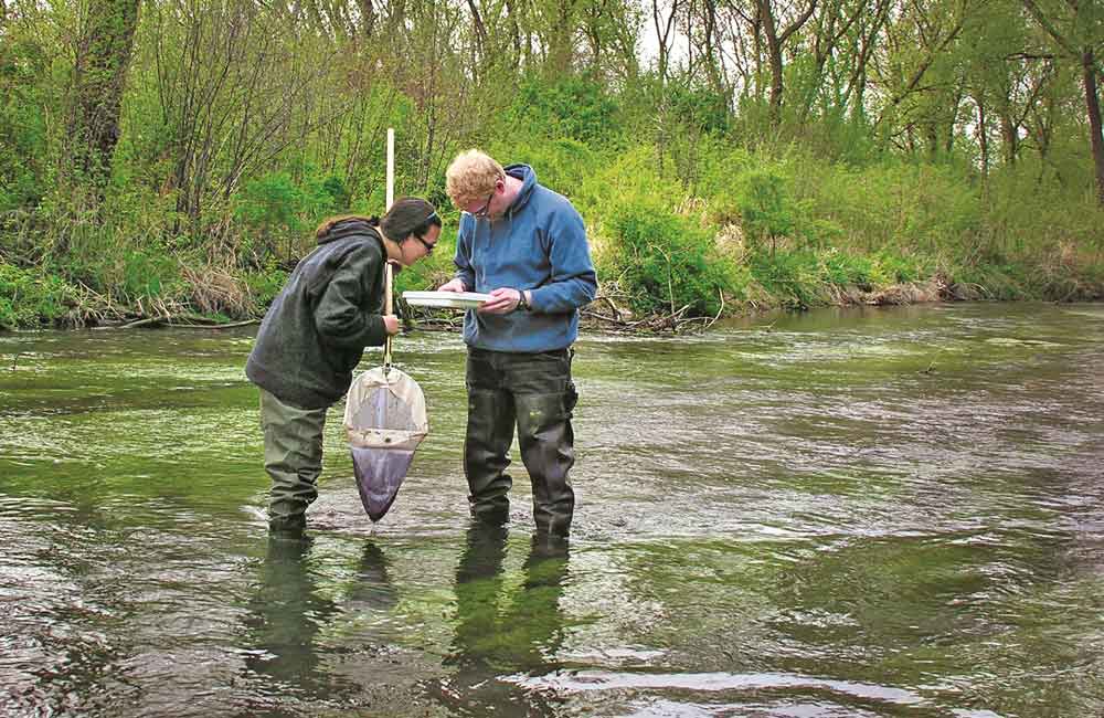Two people inspect their macroinvertebrate sample in a stream.