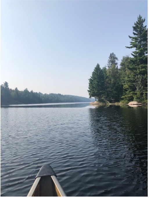 Bow of canoe with lake and trees in the background