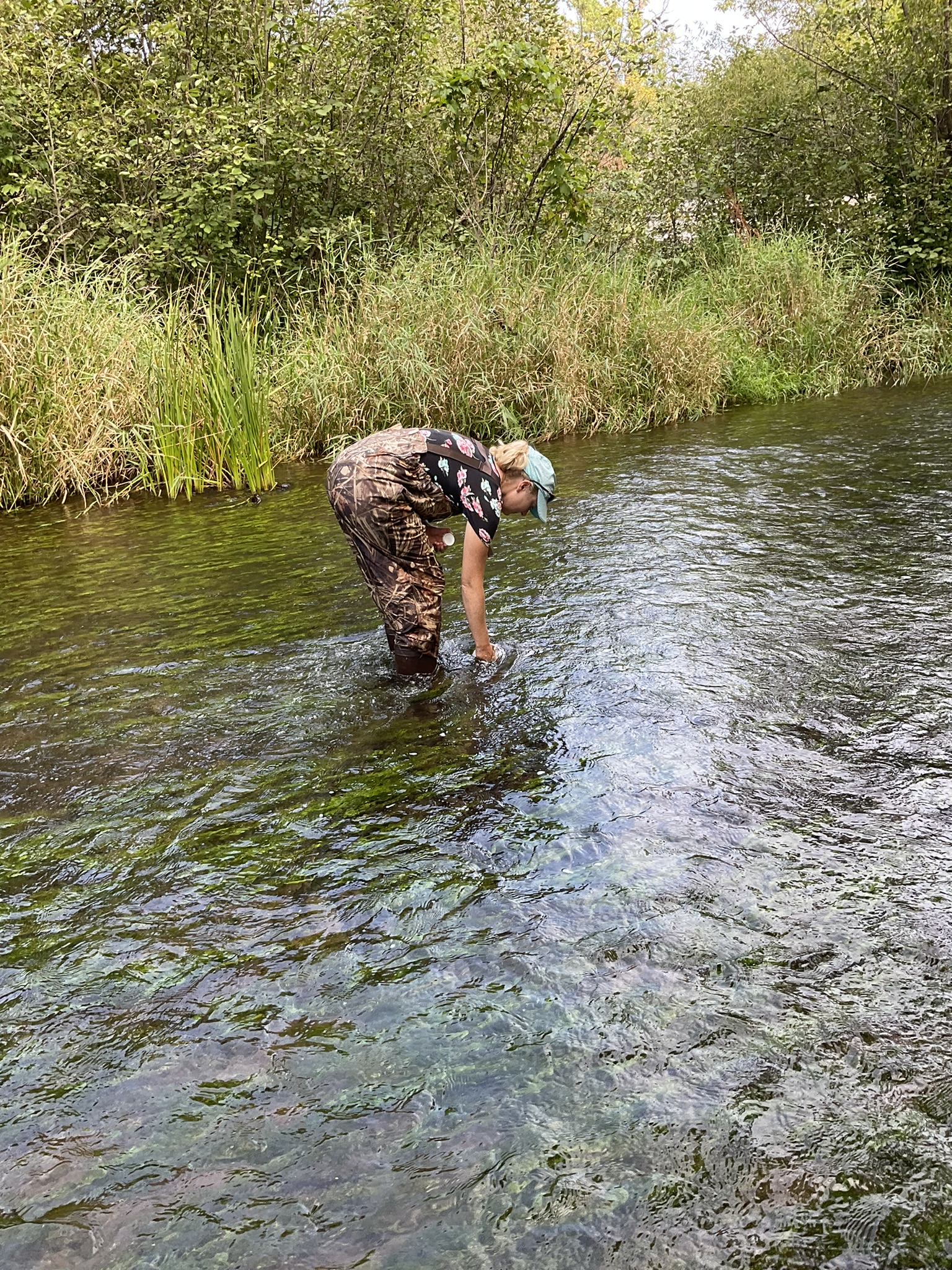 Katelin grabs a water sample from the stream