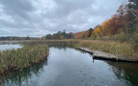 Sean’s Blog: Why are Streams Important?