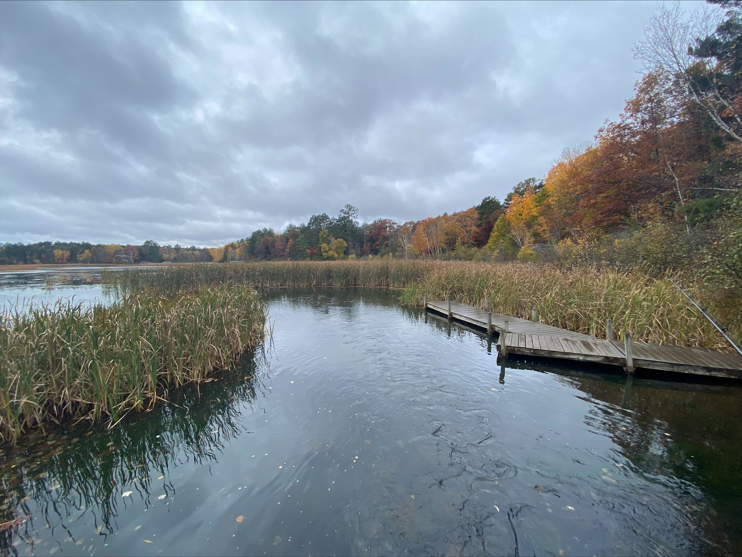 Looking out over the water, with a marsh, docks and forest along the lake.