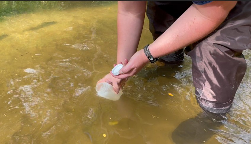 A volunteer collects a water sample from a stream using a plastic container. 