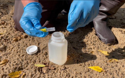 Nutrient Monitoring on Wisconsin’s Waters: What Does it All Mean?