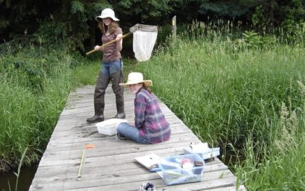 Thank you Kathy Bridge for 20 Years of Stream Monitoring!