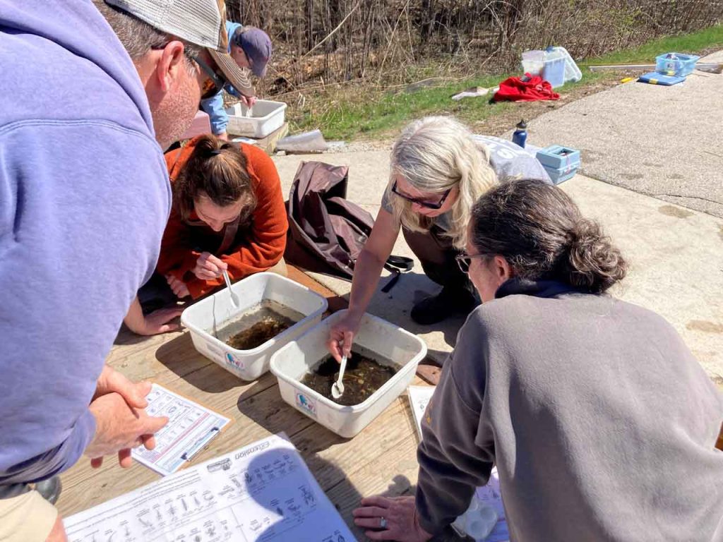 Volunteers search for macroinvertebrates in white basins.