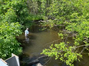 A man wading in a small creek