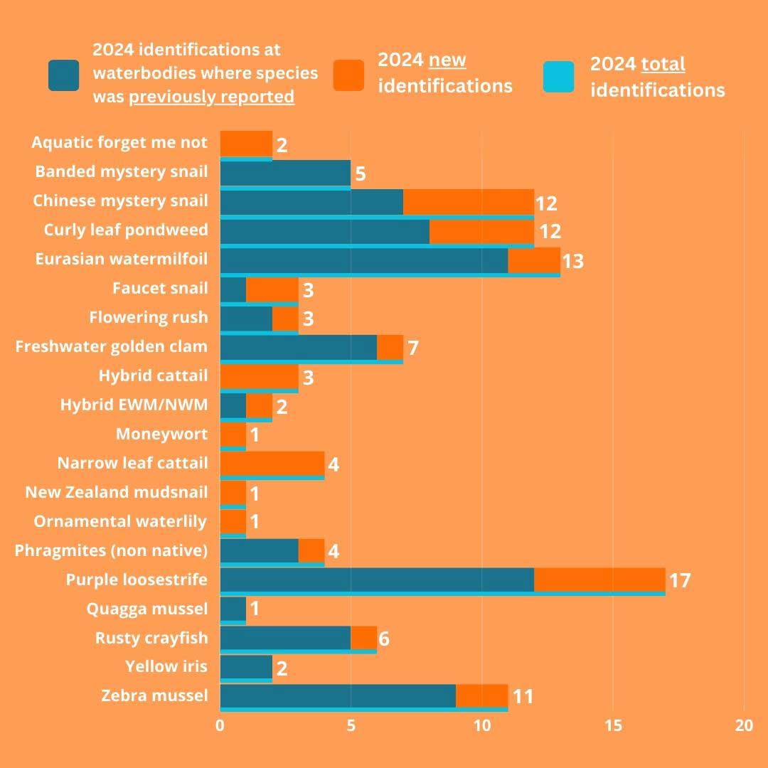An in depth graph showing previous, new and total species identified