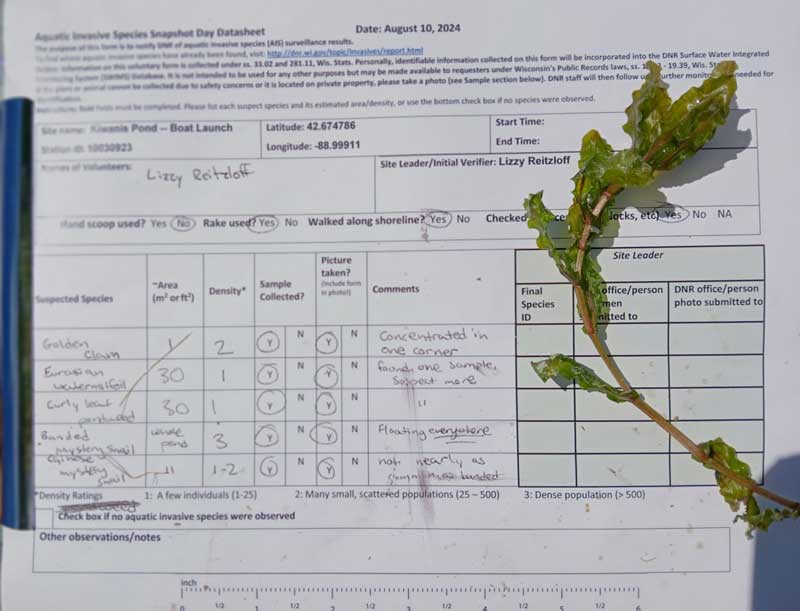 An aquatic plant sitting on a clipboard with data entered into a paper spreadsheet