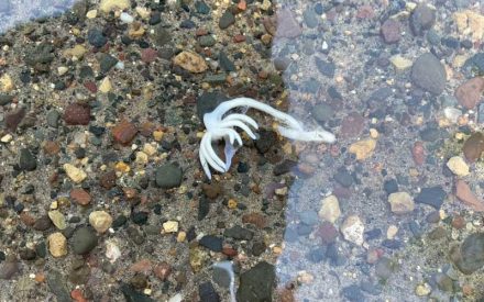 Beneath the Surface: Unraveling the Story of a Mysterious Water Find