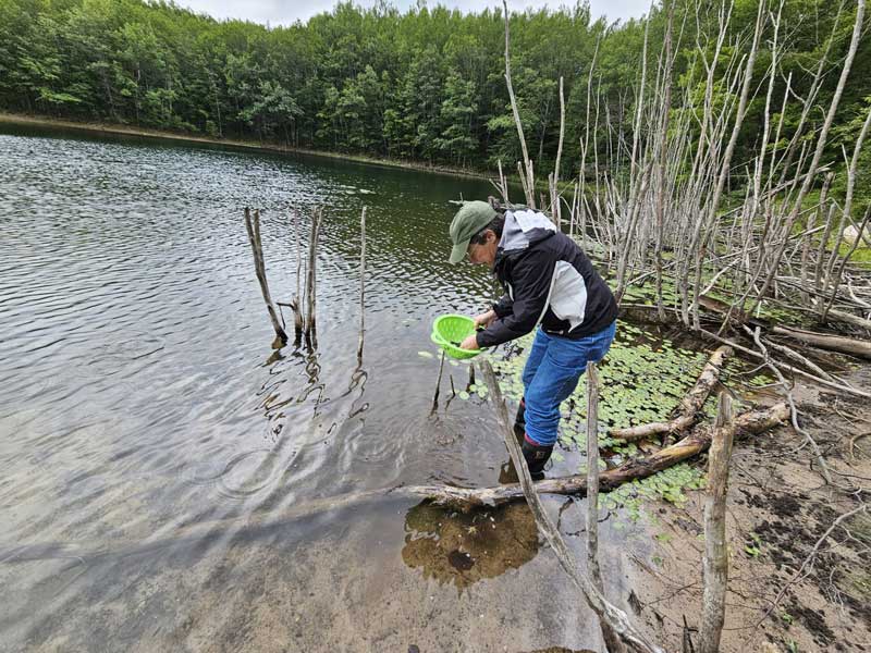 A person gathering samples from the edge of a lake using a bright green net
