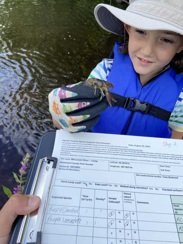 A child showing a volunteer a crayfish while they write down information on a clipboard