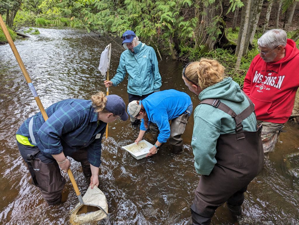 Five people taking samples from a small stream