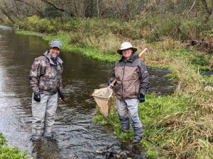 Two people using a small net to collect samples from a river