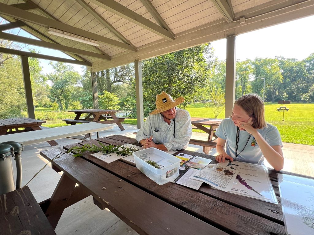 Two people sit at picnic tables under an outside wooden shelter. They are looking a sheets. 