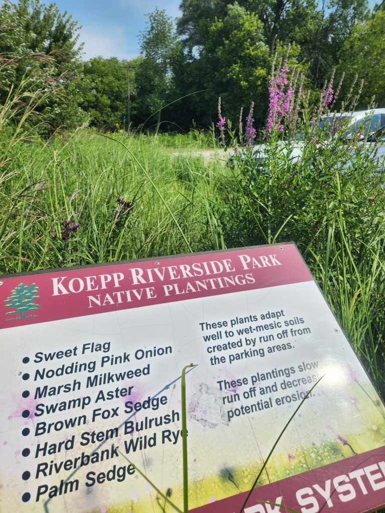 Signage at Koepp Riverside Park listing native plantings in the park. 