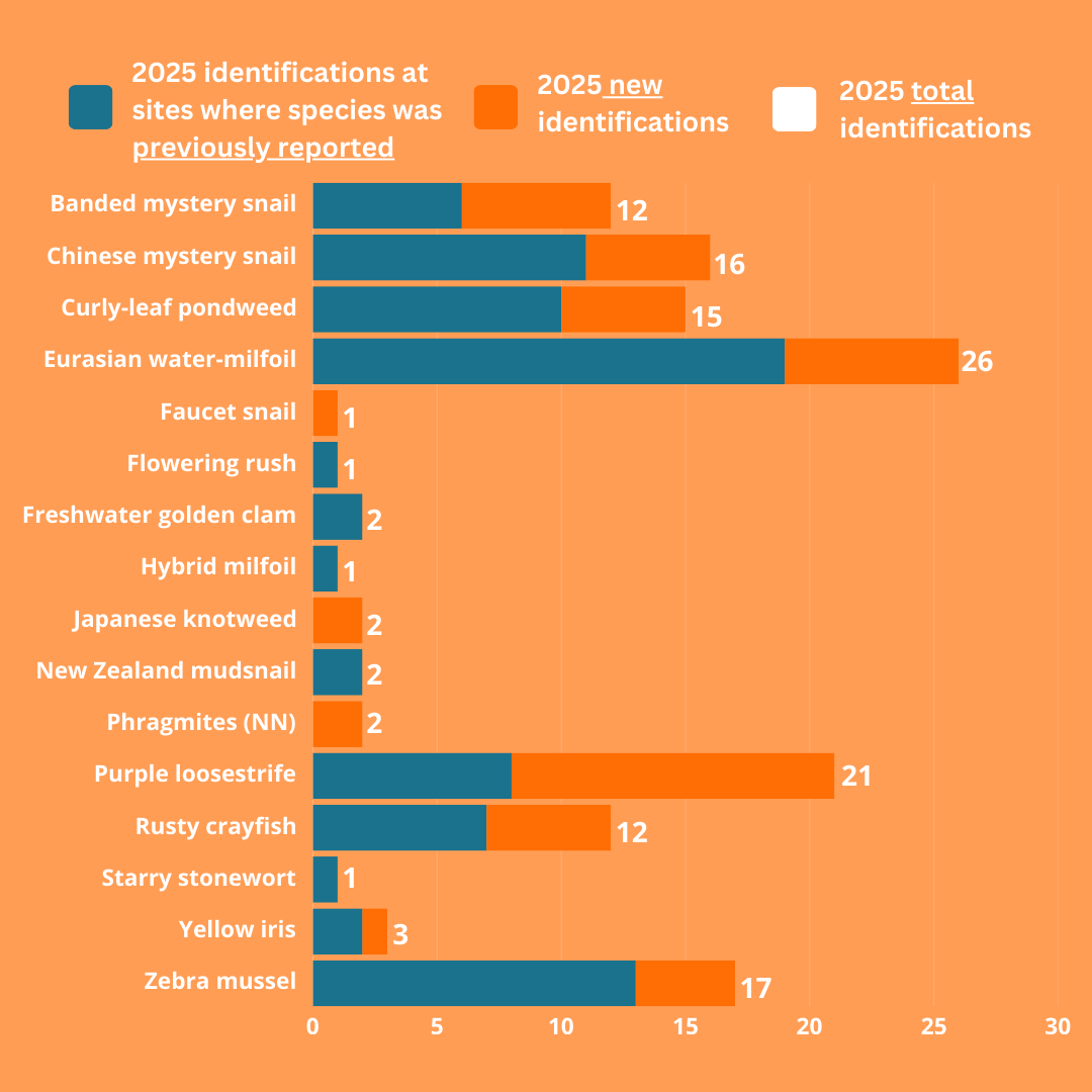 Bar chart of AIS identified during 2025 snapshot Day and previously reported AIS. 