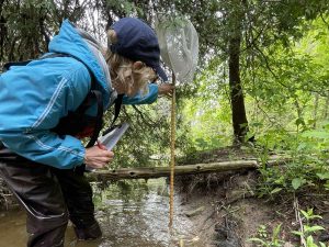 A volunteer measures soil erosion on a stream bank using a labeled net.