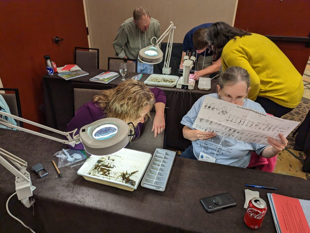 Participants at a workshop learn to identify bugs in sample trays under tabletop lights and microscopes.