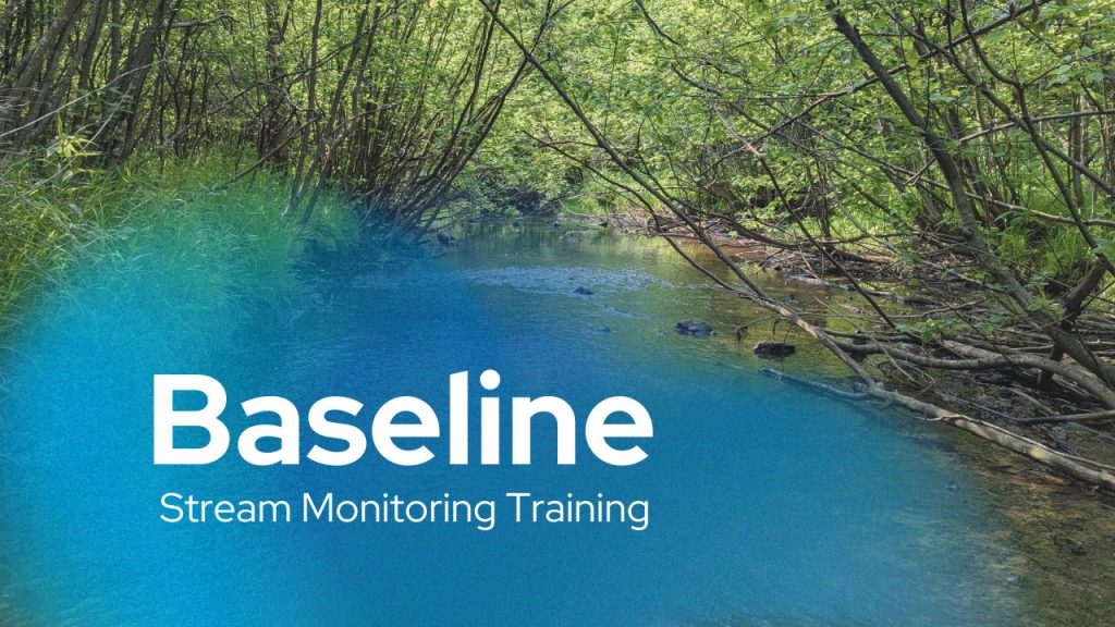 Baseline stream monitoring training