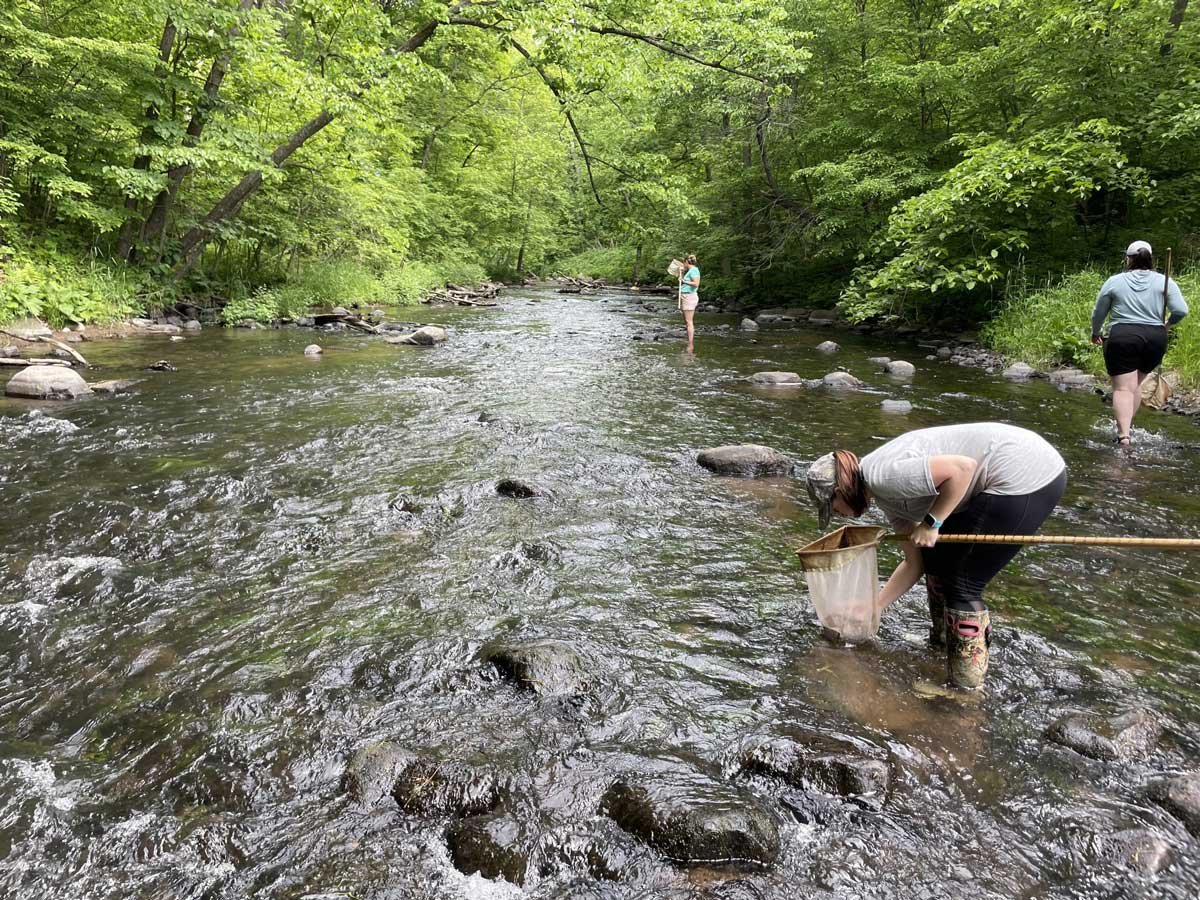 A person looks for bugs in a wide shallow rocky stream. Two other people explore the stream in the background.