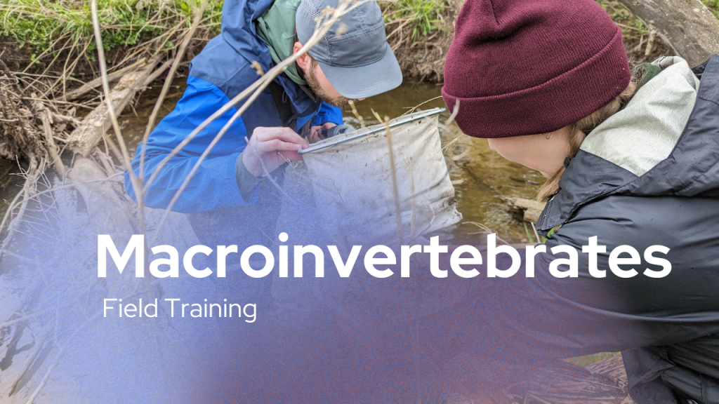 Macroinvertebrate monitoring training