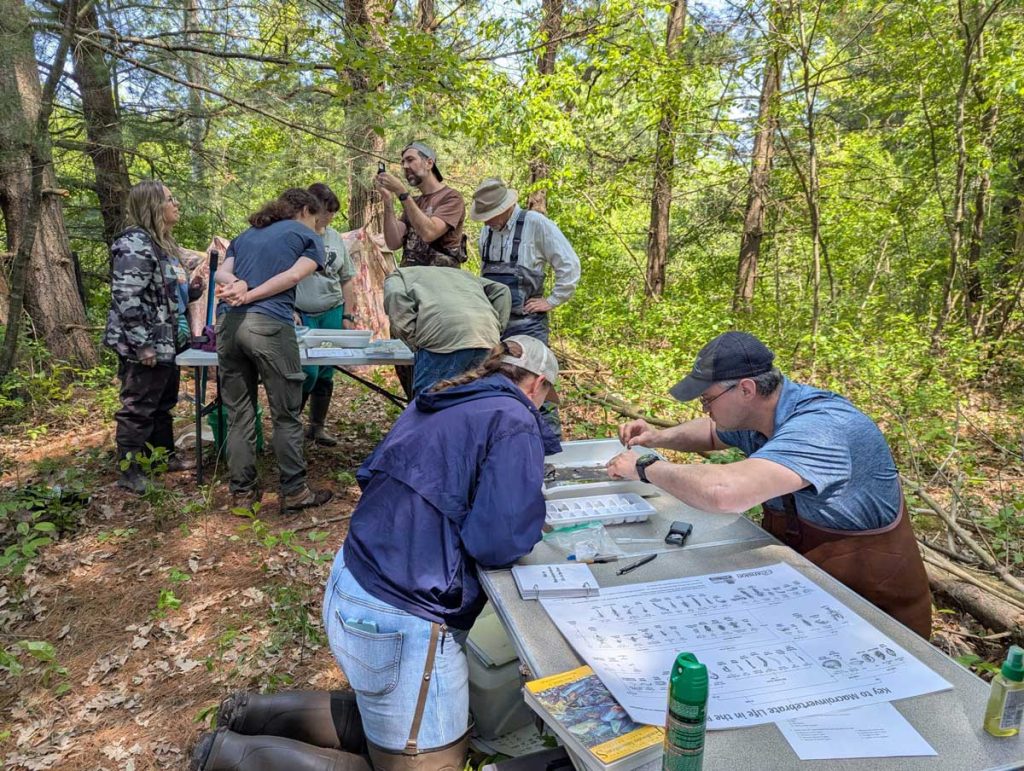 A group training in a forested setting, where volunteers gather around tables to identify macroinvertebrates.