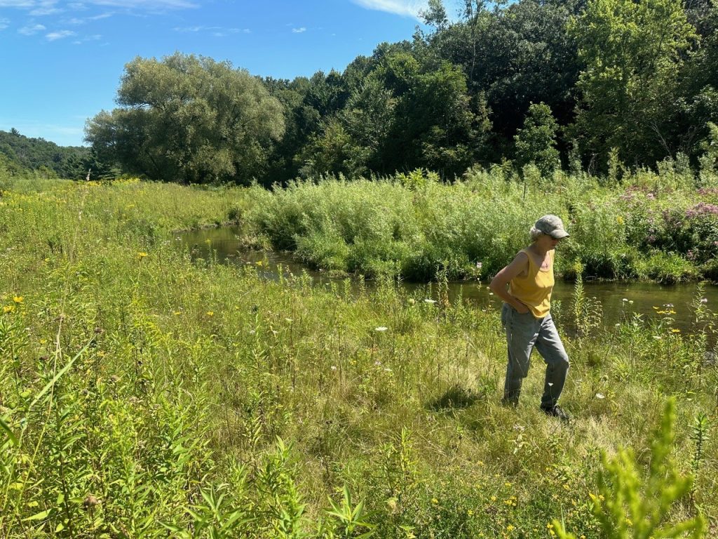 A person walks in a prairie along a stream bank.
