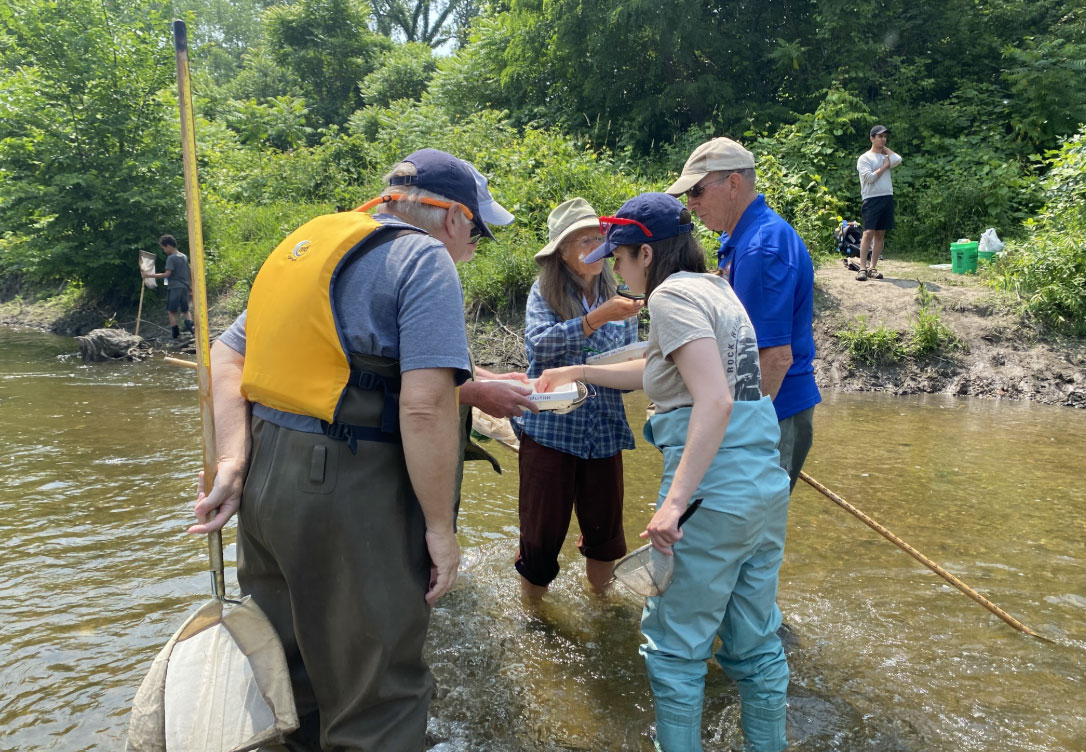 A group of volunteers in a stream looking at a water sample in a container