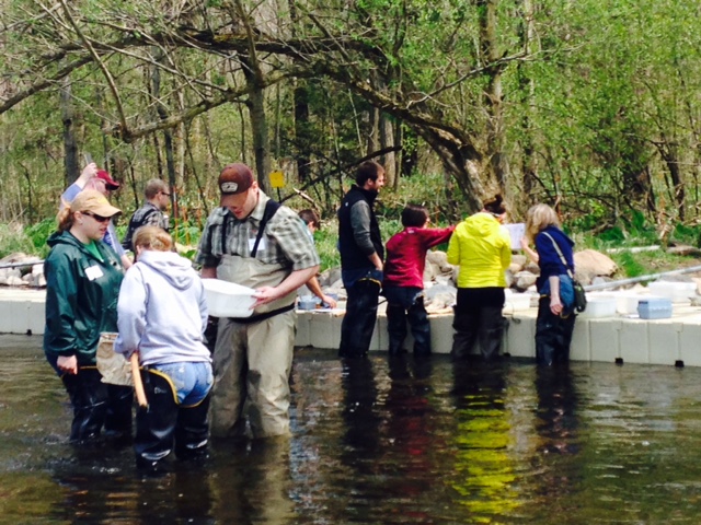 A group of people stand in a river. 
