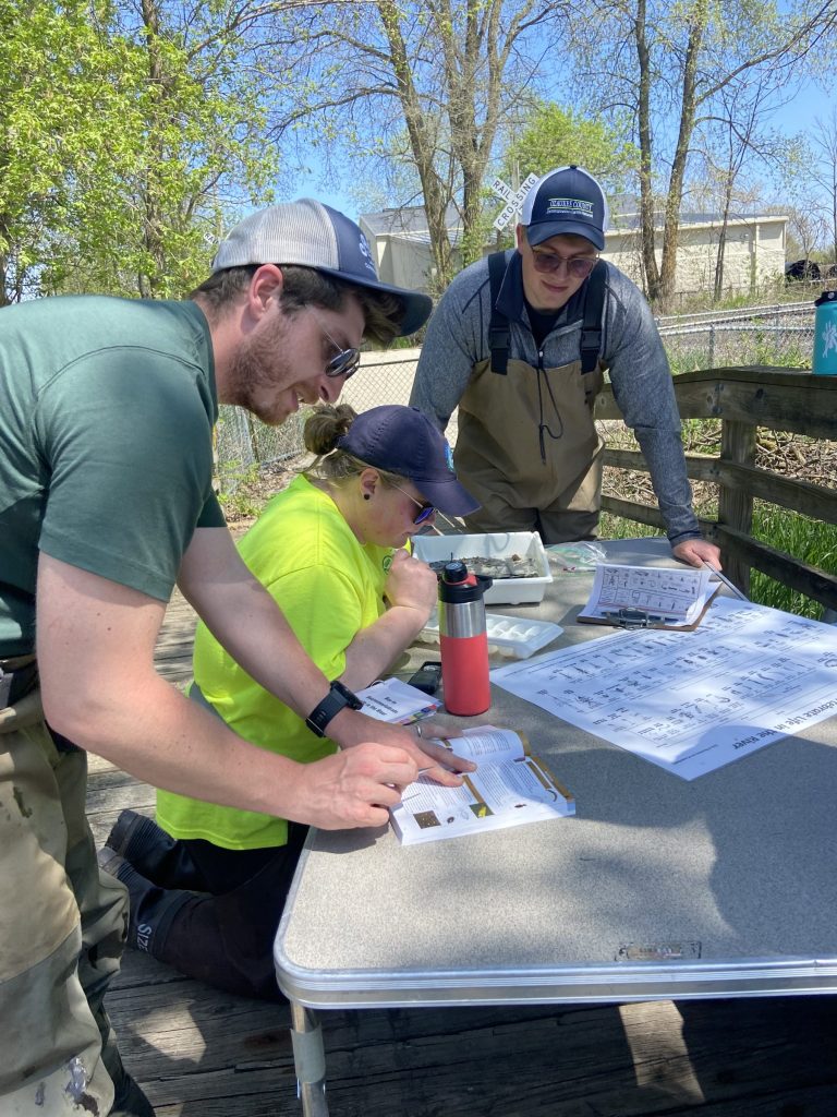 Three people gather around a table identifying macroinvertebrates at a WAV stream training.
