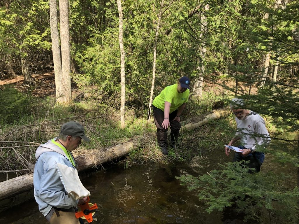 Three people stand in a small wooded stream looking at habitat features.