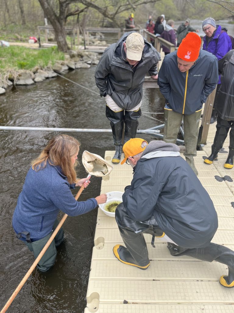 A woman stands in a river. A group of people on a dock watch as she empties her net into a tray.