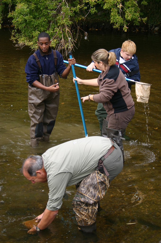 A group of four stand in a river wearing bibs. They are using nets to sift through the water for macroinvertebrates. 