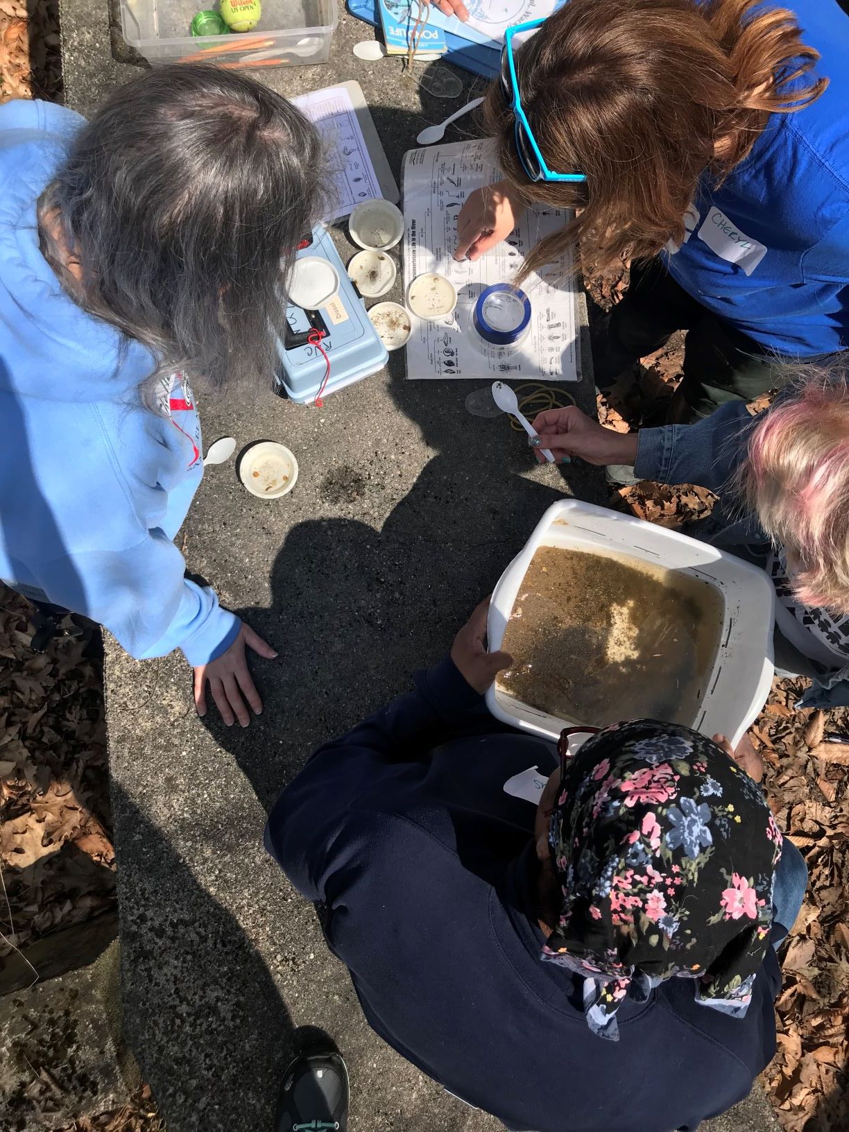 A group of four sits on the ground looking at macroinvertebrates. 