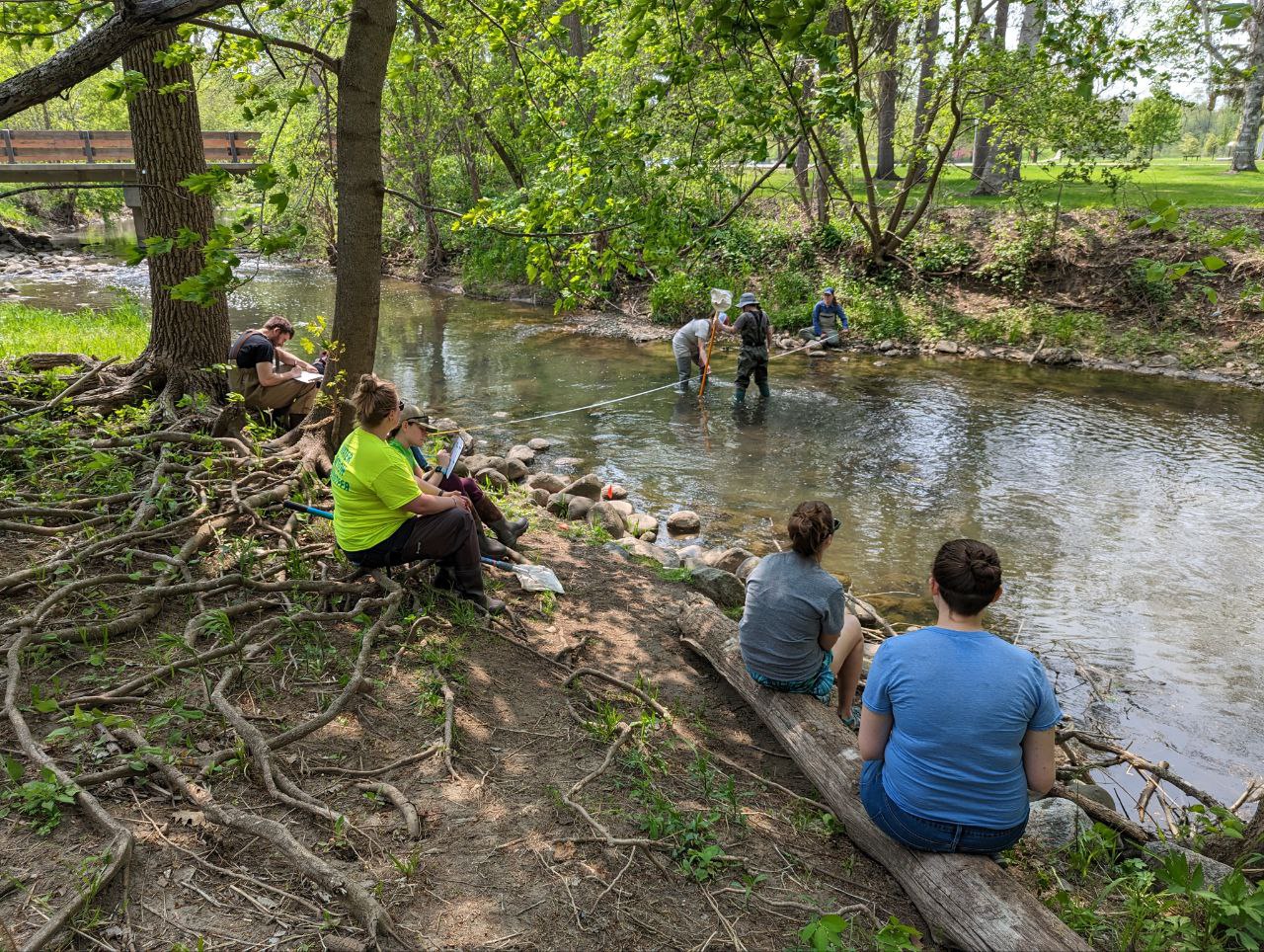 Five people sit on a stream bank and observe three people measure stream depth across a river on a sunny day in a park.