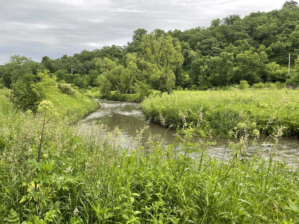 A stream winds through a prairie.