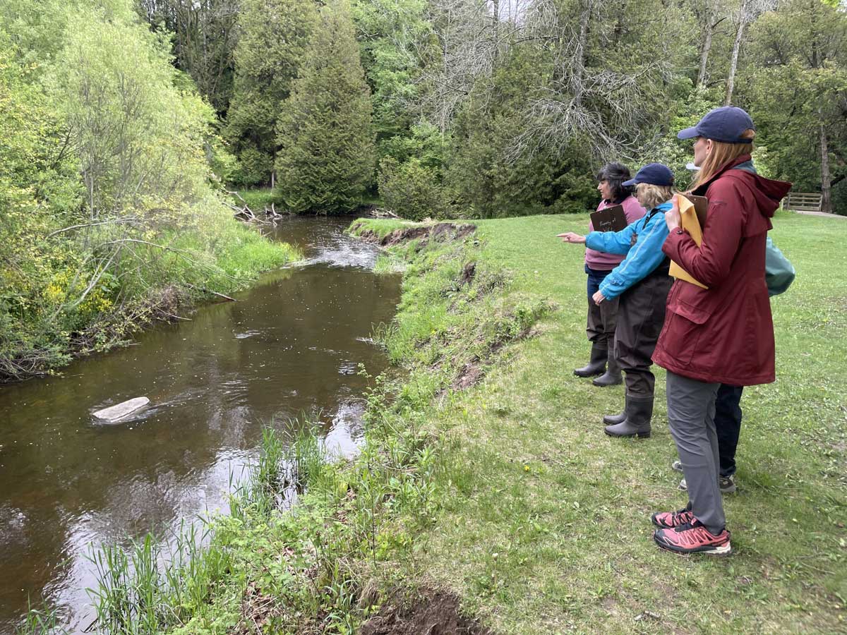 A group stands at the top of an eroded stream bank.