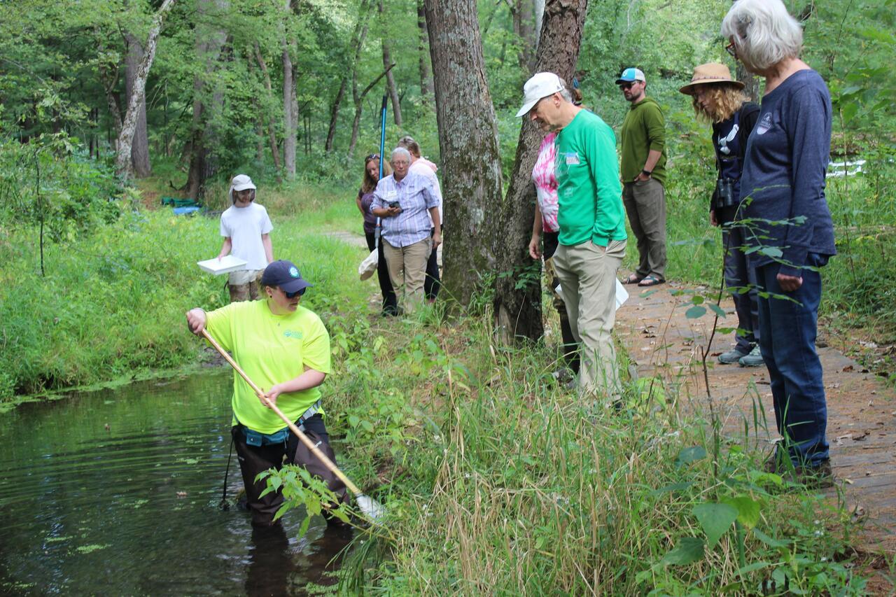 An instructor in a neon yellow shirt stands in a river with a net. A group of volunteers stand on the river bank watching her.