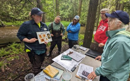 Help Document Wisconsin’s Aquatic Invertebrates with iNaturalist