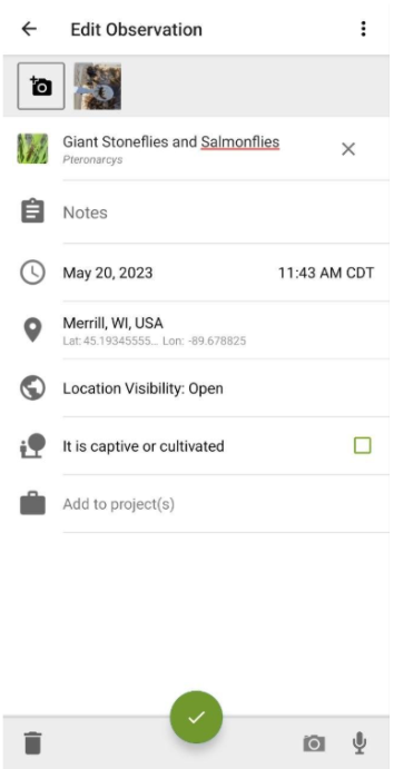 screenshot of iNaturalist observation tab including location, dates, notes, and photo upload
