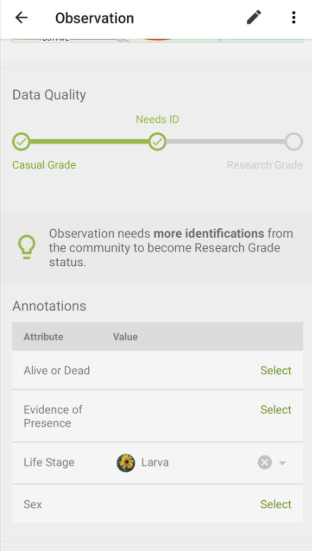 screenshot of iNaturalist observation tab including data quality, annotations (alive or dead, evidence of presence, life stage, sex). 
