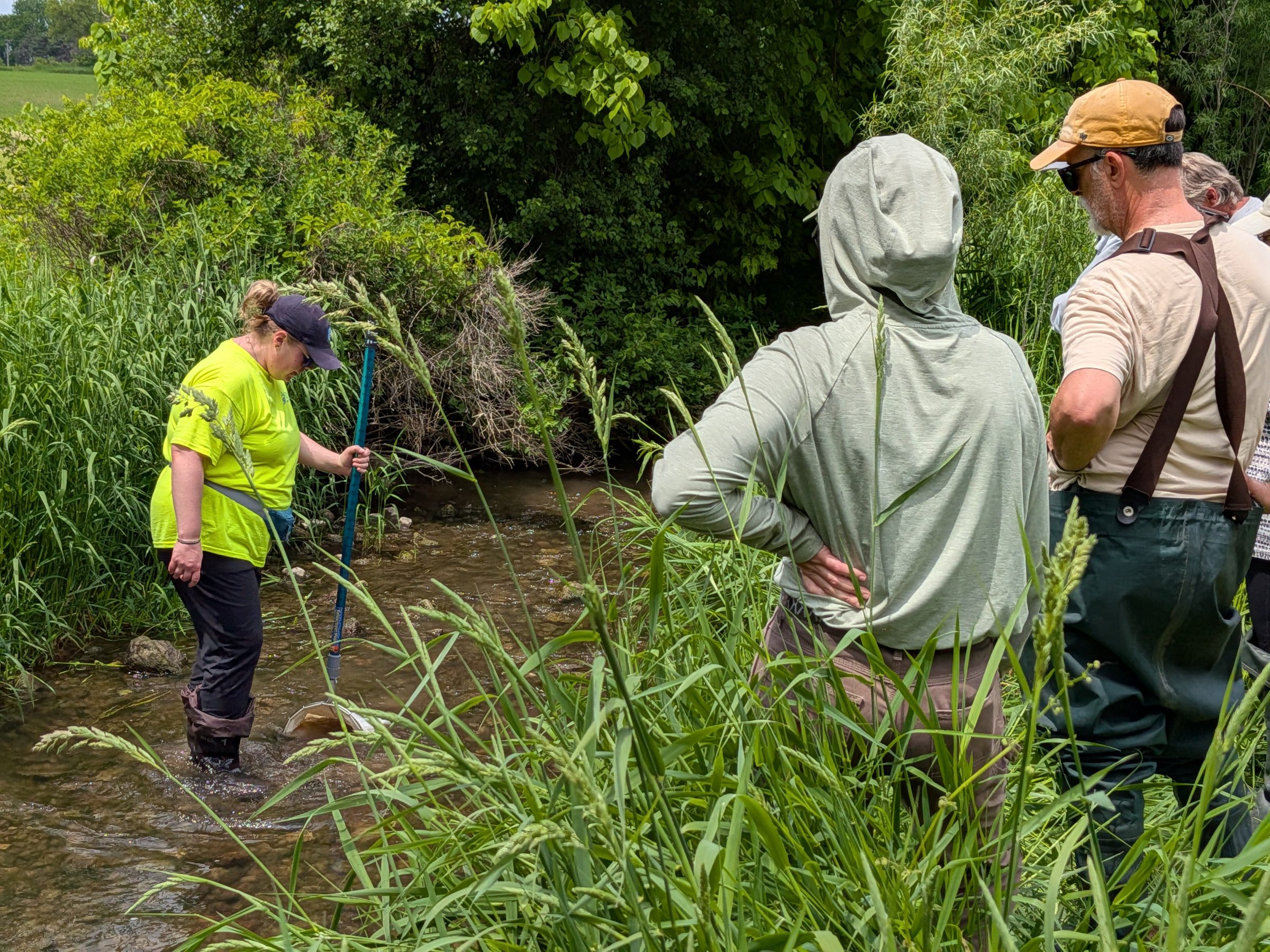 A WAV staff member in a neon yellow shirt stands in a stream while volunteers look on from the stream bank.