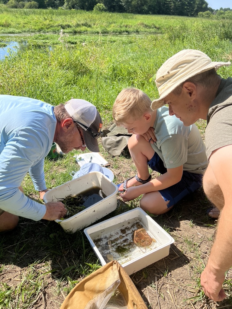 Two adults and young child crouch in a bare patch of a grassy areas. They are looking at two trays on the ground filled with water and specimens they have collected. It is bright sunny day.
