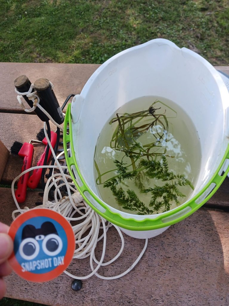 A white bucket filled halfway with water. In the water are green plants. The bucks is on a brown bench. In the lower left hand corner is a hand holding a round sticker. The sticker has an orange border and teal center. In the center of the sticker are black binoculars.