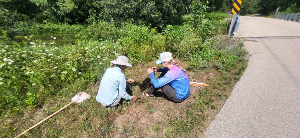 Two people in hats and long sleeves sit on a grassy patch with their backs facing the camera. They are outside on a sunny day surrounded by green foliage.