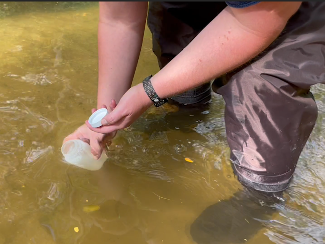 A person taking a water sample from a shallow stream