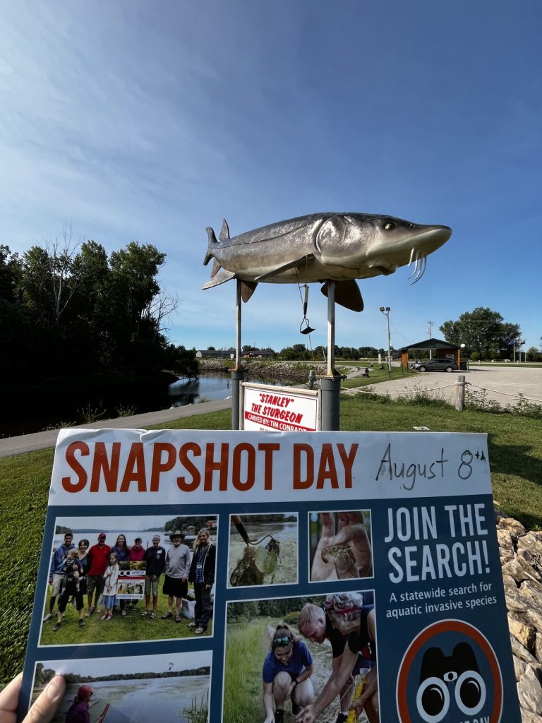In the foreground is a yard sign with text. In the backgrounds is a metal statue of a catfish. The sky is blue.