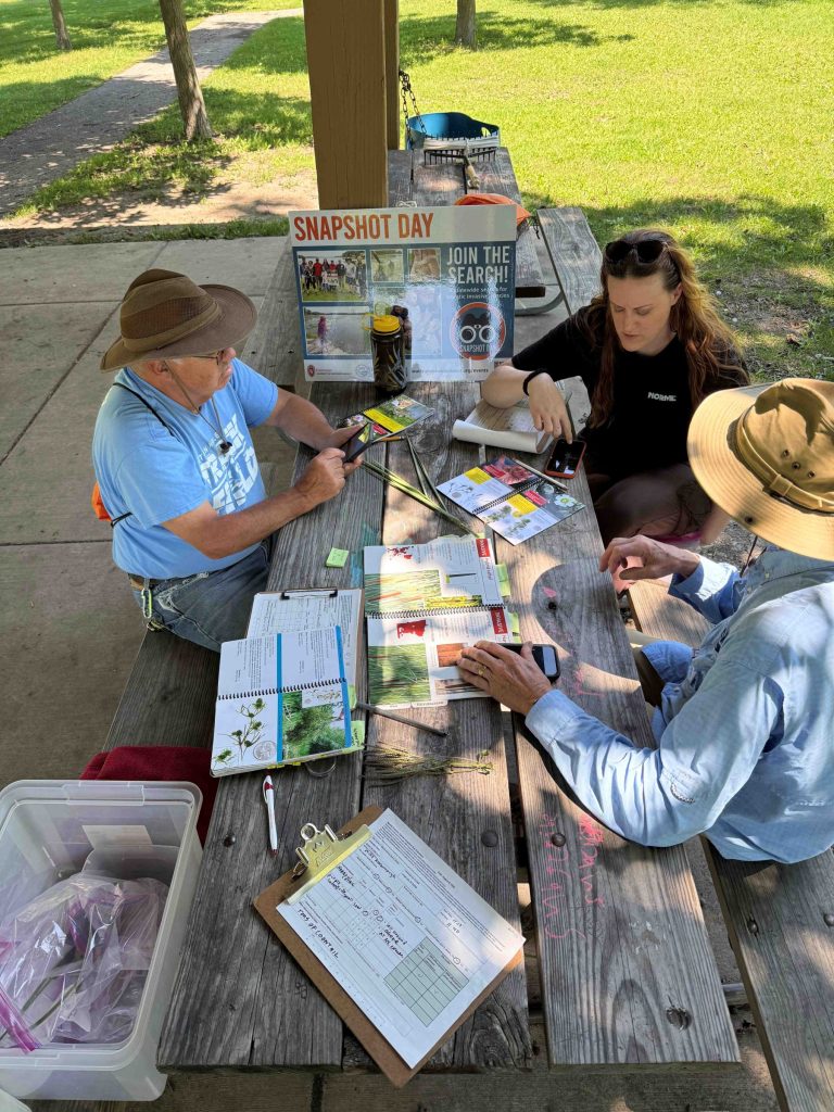 Three people sit at a wooden picnic table, two on one side, one on the other. There are field guide and clipboards spread across the table. They are sitting in the shade on a sunny day.