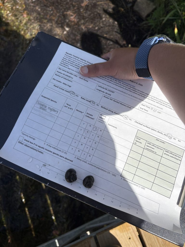 Photo of an arm holding a clipboard horizontally with a survey on it. Placed on the bottom of the clipboard are two shells.
The person is casting a shadow on the clipboard.