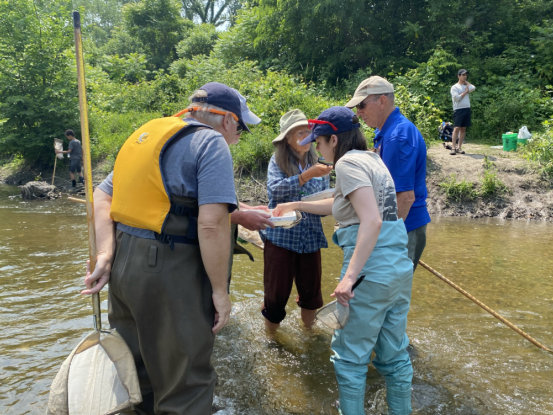 a group of four people stand in a stream. They are huddled looking at a water sample. It is a sunny day. 